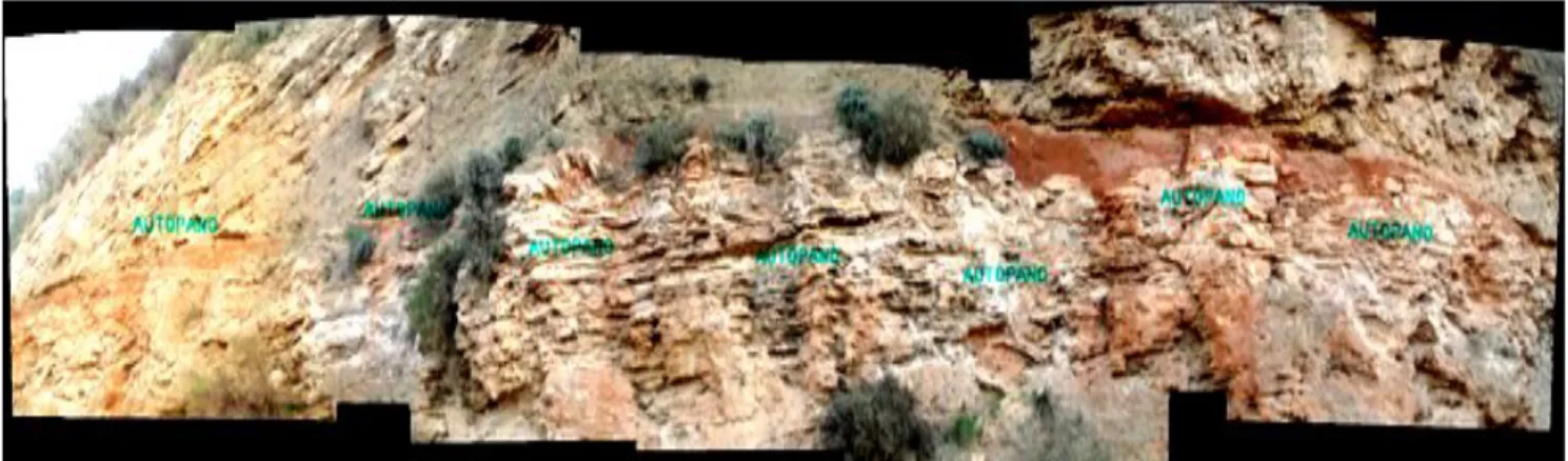 Fig. 43: niveau à stratification alternativement parallèle et oblique surmontée par un sol rouge 