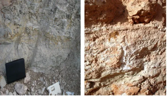 Fig. 48: Marnes blanches du Miocène supérieur 