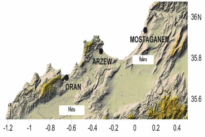 Fig. 82 : La dépression Mléta – Habra, MNT (pas de 50 m)