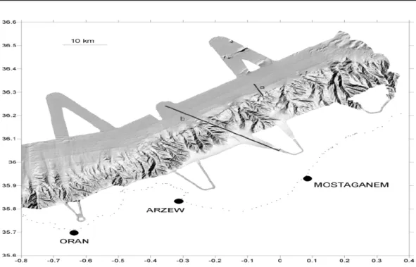 Fig. 84: MNT ombré de la zone comportant des linéaments, au large de Mostaganem. a : localisation du profil Chirp en Figure86, b : localisation du profil 24-traces en fig