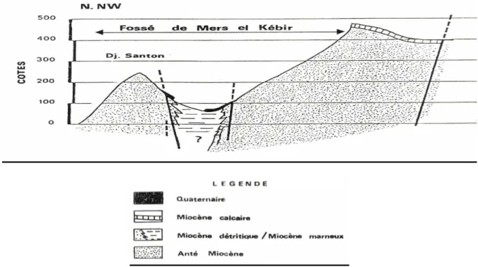 Fig. 73 : Profile géologique 2A sur la fig.62, fossé de Mers El Kebir (SOCOTEC, 1986)