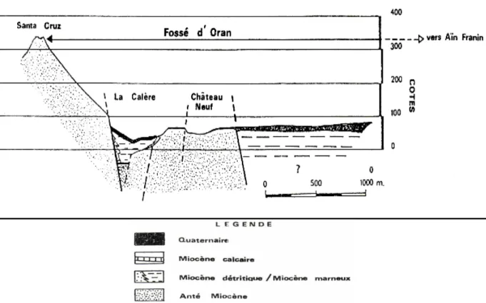 Fig. 75 : Profile géologique 1 sur la fig.62, fossé d’Oran (SOCOTEC, 1986)