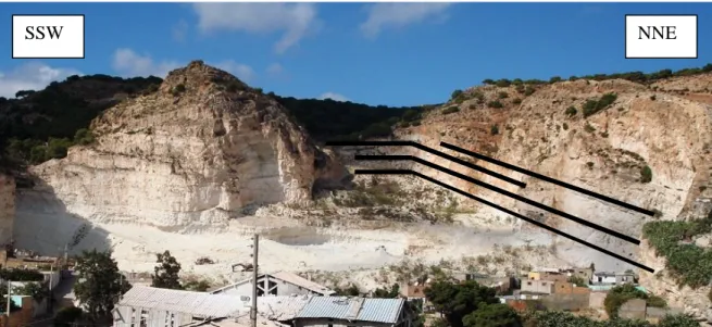 Fig. 76: Inclinaison des calcaires miocènes du Murdjado vers le SE (Sebkha d’Oran), carrière  Kouchet el Djir