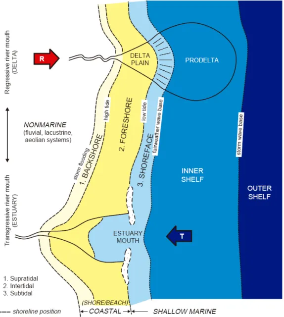 Fig. 4- Déplacement des profils de dépôt suite à une transgression/régression.   (D’après Catuneanu 2006)