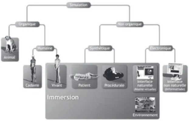 Figure  1:  Les  différents  type  de  simulateur  selon  ChiniaraG.Simulation  médicale  pour  l’acquisition  des  compétences  en  anesthésie.In:Société  française  d’anesthésie  et  de  réanimation,  ed