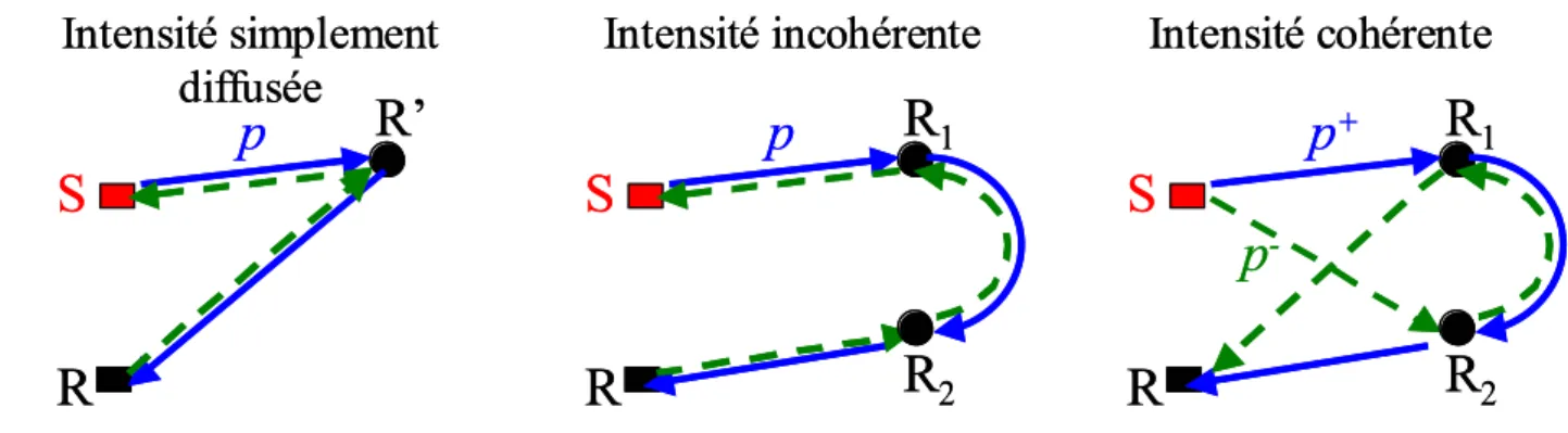 Fig. I.5: Exemple de chemins de diffusion contribuant `a l’intensit´e simplement diffus´ee (`a gauche), `a l’intensit´e incoh´erente (au centre) et `a l’intensit´e coh´erente (`a droite)