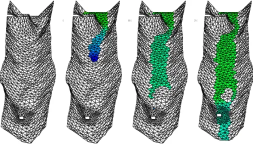 Fig. 2.4.6: Filling up of a river - Bottom topography and free surface at different times