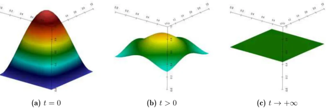 Figure 1.9: Divers instantanés de l’équation de la chaleur homogène sur [0, 1] 2 avec condition