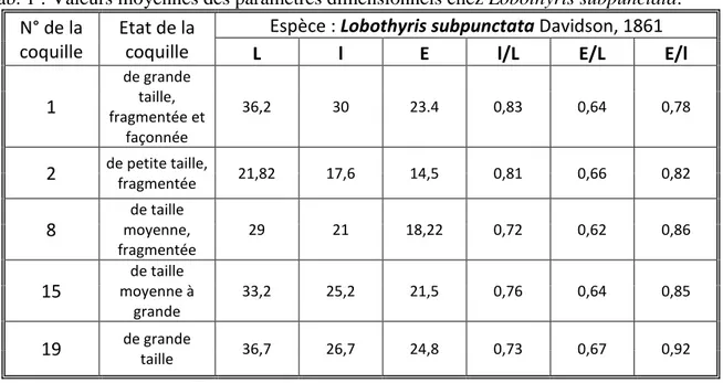 Tab. 1 : Valeurs moyennes des paramètres dimensionnels chez Lobothyris subpunctata.  N° de la 