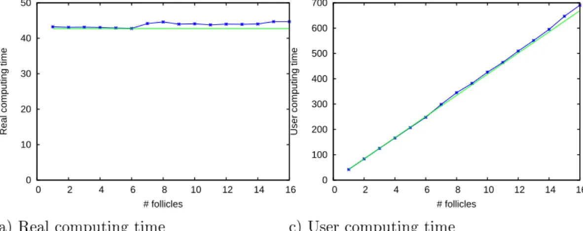 Figure 2.9  Parallelization performance test. Simulation of an increasing num- num-ber of identical follicles
