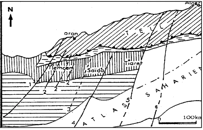 Figure 3: Grands traits de la structure de l’Algérie du NW in Elmi (1971).  