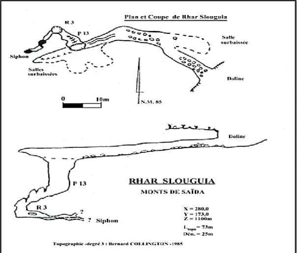 Figure 29 :  Coupe et plan de la perte de Rhar Slouguia (S.Foin et B.Lips,1985). 