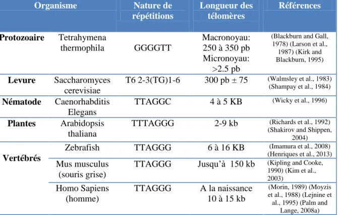 Tableau 1 : Diversité et conservation des séquences télomériques entre les organismes 