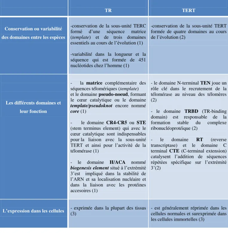 Tableau 2: Comparaison entre les sous-unités TERT et TR. 