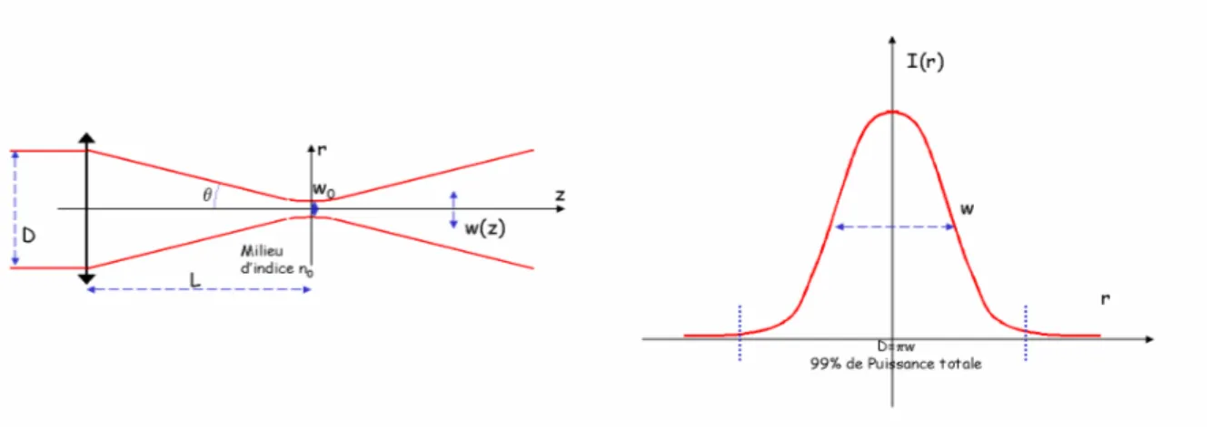 Figure 2.1 : a) Profil axial du faisceau focalisé par une lentille convergente  b) Intensité d’un faisceau gaussien en fonction de la position radiale