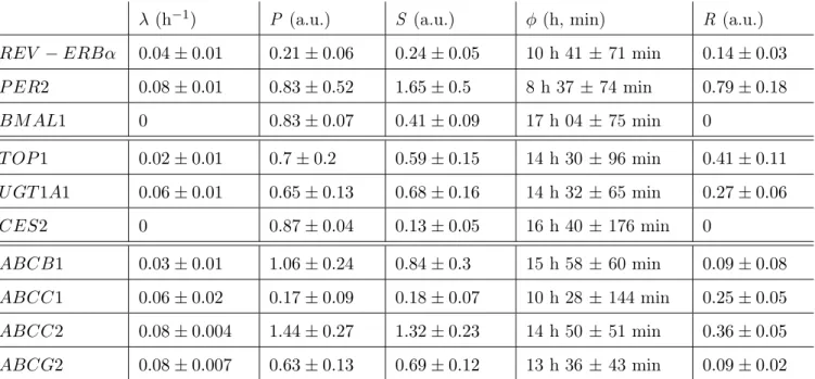 Tab. 2.1: Valeurs de paramètres des expressions circadiennes de gènes dans des cel-