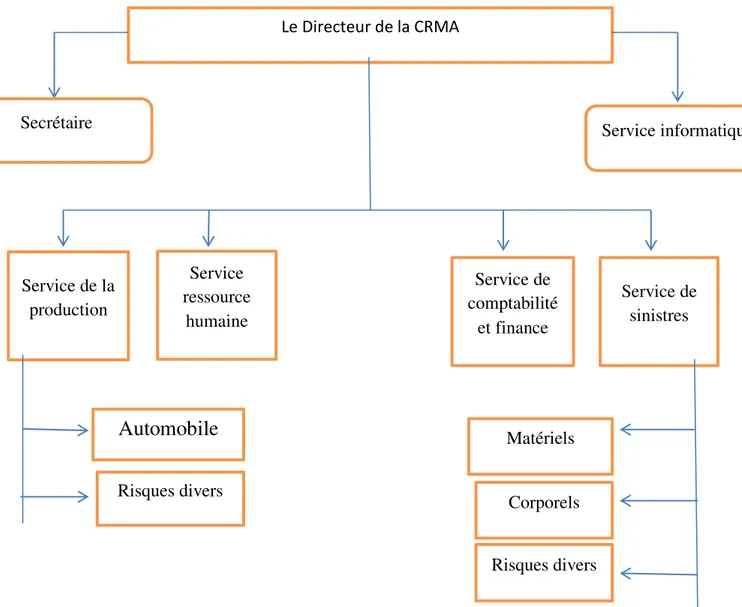 Figure n°3 : Organigramme de le caisse régionale de la mutualité agricole. 