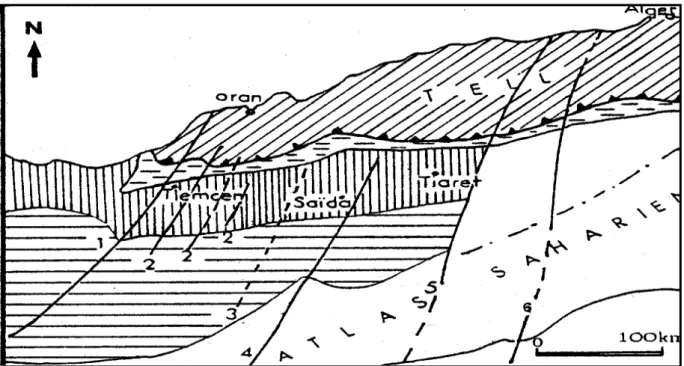 Figure 3: Grands traits de la structure de l’Algérie du NW in Elmi (1971).  
