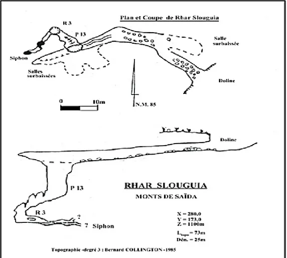 Figure 29 : Coupe et plan de la perte de Rhar Slouguia (S.Foin et B.Lips, 1985). 