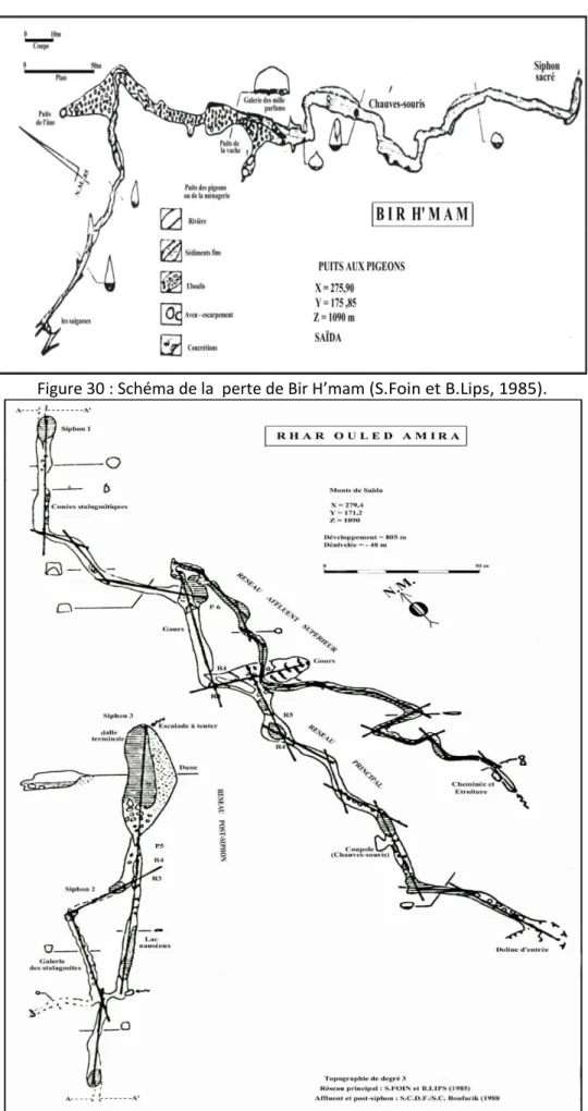 Figure 31: Schéma de configuration de la perte de Rhar O.Amira (S.Foin et B.Lips, 1985)
