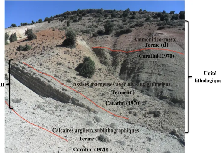 Fig. 08: Photo montrant le découpage lithologique de la coupe de Bénia.