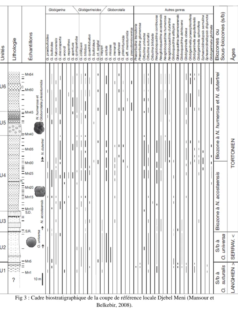 Fig 3 : Cadre biostratigraphique de la coupe de référence locale Djebel Meni (Mansour et  Belkebir, 2008)