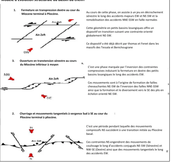 Fig. 9: Evolution structurale du bassin de Bas Chélif (Medaouri, 2006). 