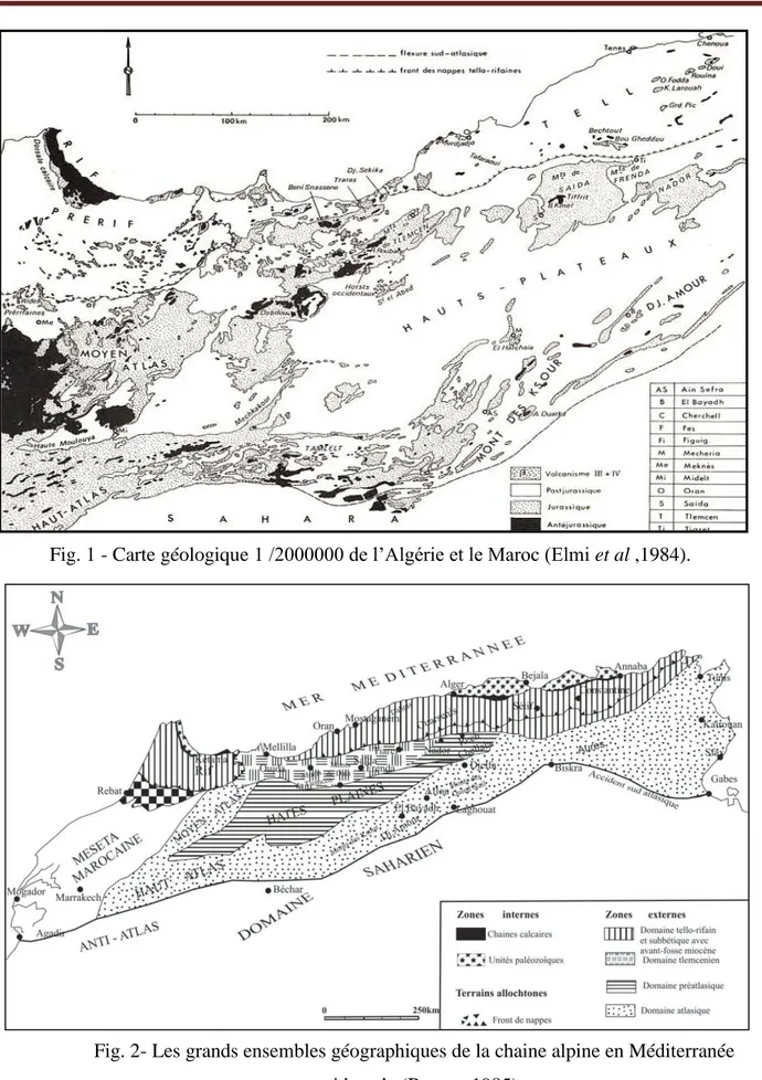 Fig. 1 - Carte géologique 1 /2000000 de l’Algérie et le Maroc (Elmi et al ,1984). 
