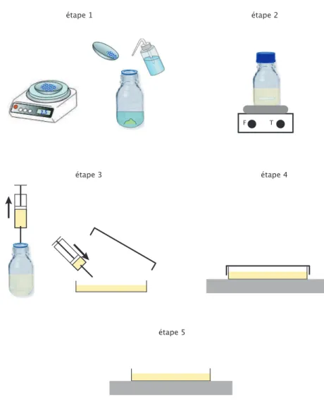 Fig. 2.2: Etapes de la pr´eparation des gels d’agar. Etape 1 : la masse d’agar n´ecessaire est pes´ee,