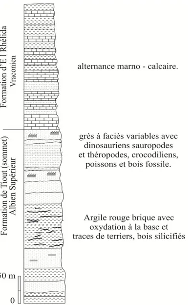 Fig. 10- Coupe lithologique de la série crétacée d’El Kohol (Mahboubi, 1983 ; in Gabani, 2008)