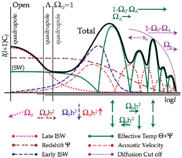 Figure 1.6: The figure shows how the different processes contribute to the temperature power spectrum