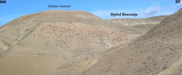 Fig. 12- Vue panoramique et morphologique de la coupe de Rokbet Gunfoud (Djebel Bourandja) 