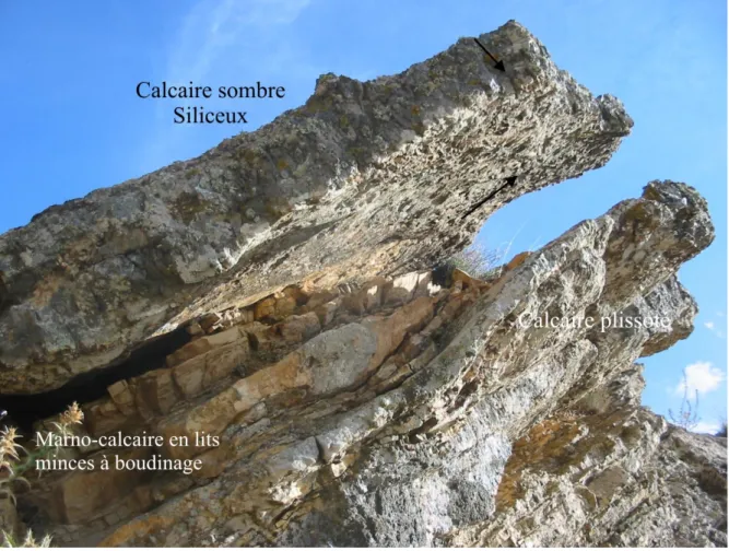 Fig. 15- Photographie montrant le phénomène synsédimentaire de plissotement dans les  alternances calcaires sombres siliceux et marno-calcaires rapprochés à boudinage 