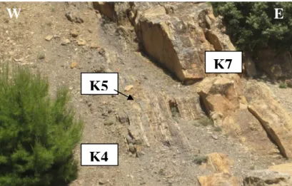 Fig. 23- Illustration photographique montrant le ˝Niveau siliceux˝ (K4) et faciès associés (K5) surmonté par un  gros banc de calcaire (K7) dans la coupe de Koko