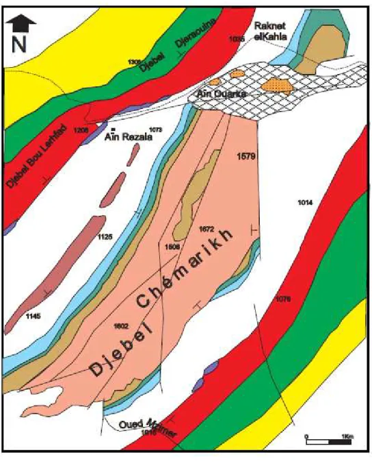 Fig. 3-  Carte géologique du secteur de Ain Ouarka (d’après J.P.Bassoullet, 1973 ;   in