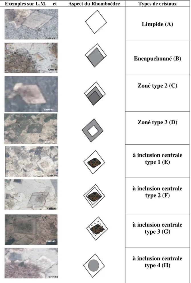 Fig. 17 - Les différentes formes et aspects des dolomites rencontrées. 
