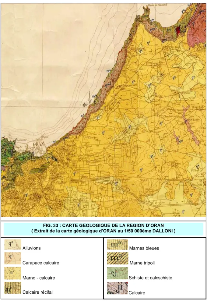 FIG. 33 : CARTE GEOLOGIQUE DE LA REGION D’ORAN ( Extrait de la carte géologique d’ORAN au 1/50 000éme DALLONI )