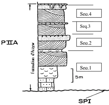 Fig. 42 : Coupe géologique de Gambetta (Thomas, 1985) 