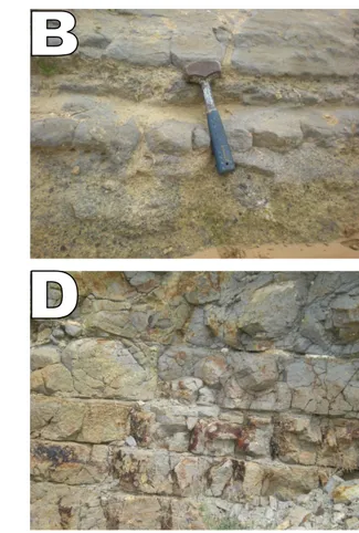 Figure 21 : Les différentes structures de la mise en place des laves basaltiques de  Mohammedia (A et C structure de pelure d’oignons, B et D structure en dalle) 