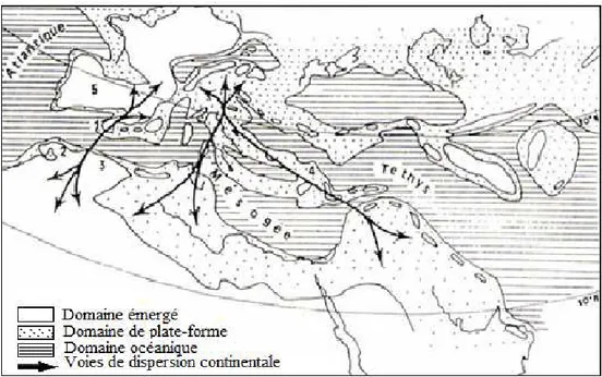 Fig. 9:  Paléogéographie des régions téthysiennes à la limite Crétacé/Tertiaire (65 Ma) et les  principales voies de dispersions spéculées entre l'Europe et l'Afrique (Gheerbrant 1987)