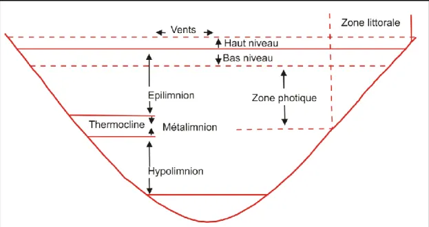 Fig. 20: Composantes importante d’un système lacustre 
