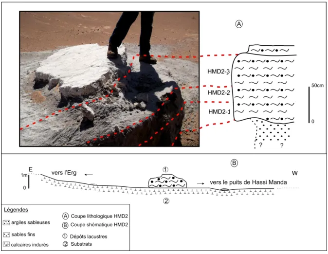 Fig. 09: Coupe Hassi Manda 2 (HMD2) 