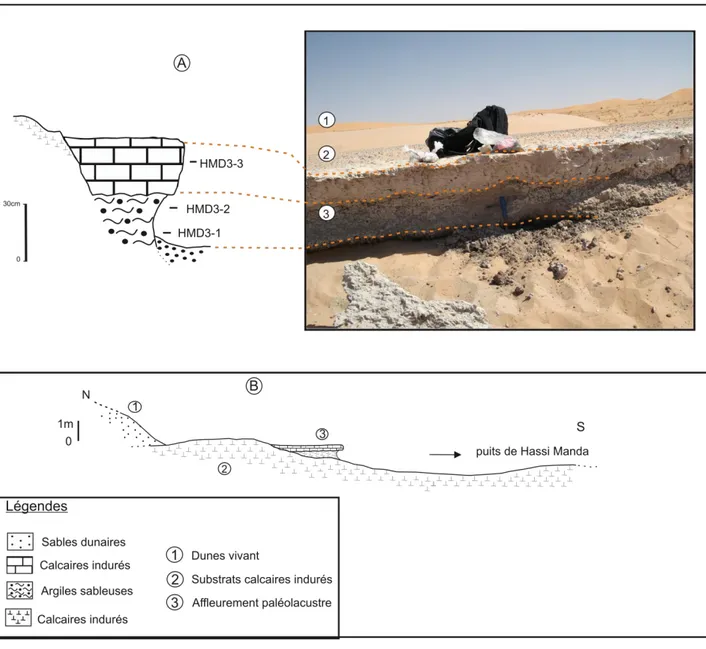 Fig. 10: Coupe Hassi Manda 3 (HMD3). 