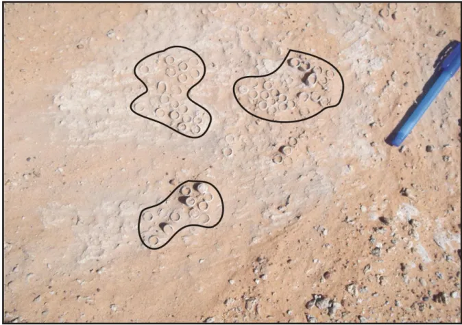 Fig. 11: Prélèvement Hassi Manda 4 (HMD4) 