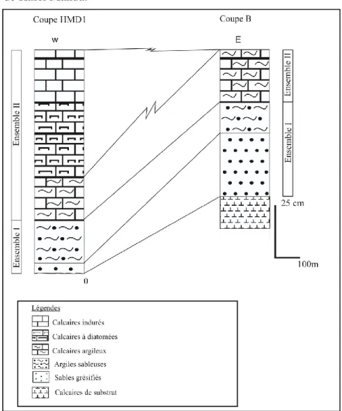 Fig. 17: corrélation lithologique des coupes étudiées de l’Holocène de Hassi Manda 