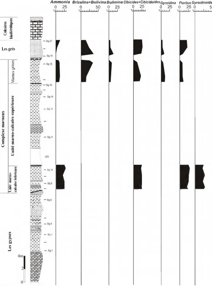 Fig.  10:  Analyse quantitative des foraminiferes benthiques de la coupe de Djebel  Touakas