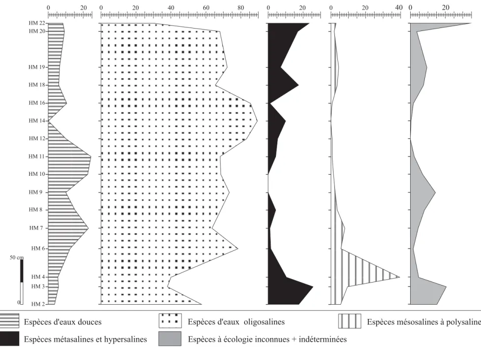 Fig. 17- Evolution verticale des fréquences relatives des diatomées regroupées selon la salinité (coupe de la butte témoin)