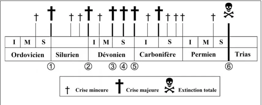 Fig. 17: Les crises qui affectaient les Tabulata et les Rugosa (Poty, 2010).