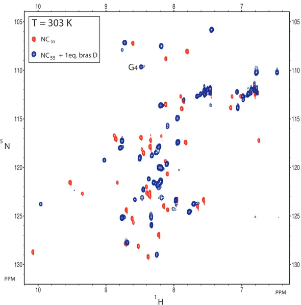 Figure 4.3 – Spectres HSQC de la NC 15 N libre et en complexe avec le