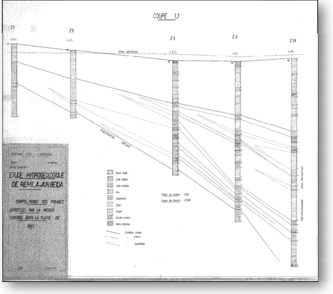 Figure -22 : coupes1-1 coupe hydrogéologique I des forages (Z3,Z9,Z5,Z6,Z18)  Source ANRH 1979 
